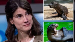 dem-asks-trump-admin-to-cut-restrictions-on-killing-sea-lions