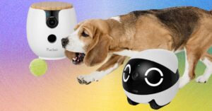 you-live-in-a-surveillance-state.-your-pets-should,-too-(with-these-wired-tested-pet-cameras)