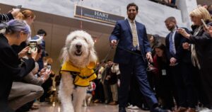 dog-days-of-congress:-washington-photos-of-the-week