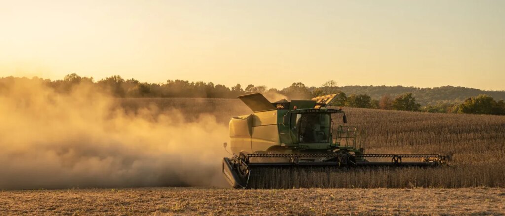 the-good,-the-bad-and-the-ugly:-inside-swamp