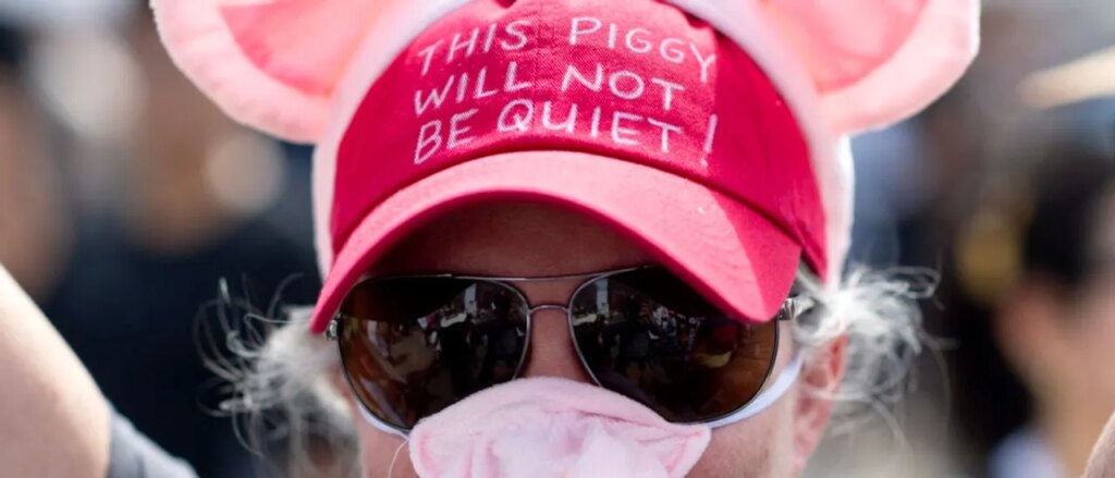 rooke:-americans-should-brace-for-impact-as-conservatives-losing-grip-on-country