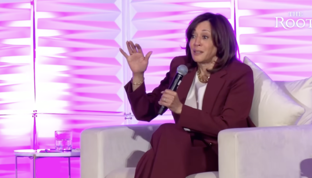 kamala-harris-is-going-‘full-blaccent’:-megyn-kelly