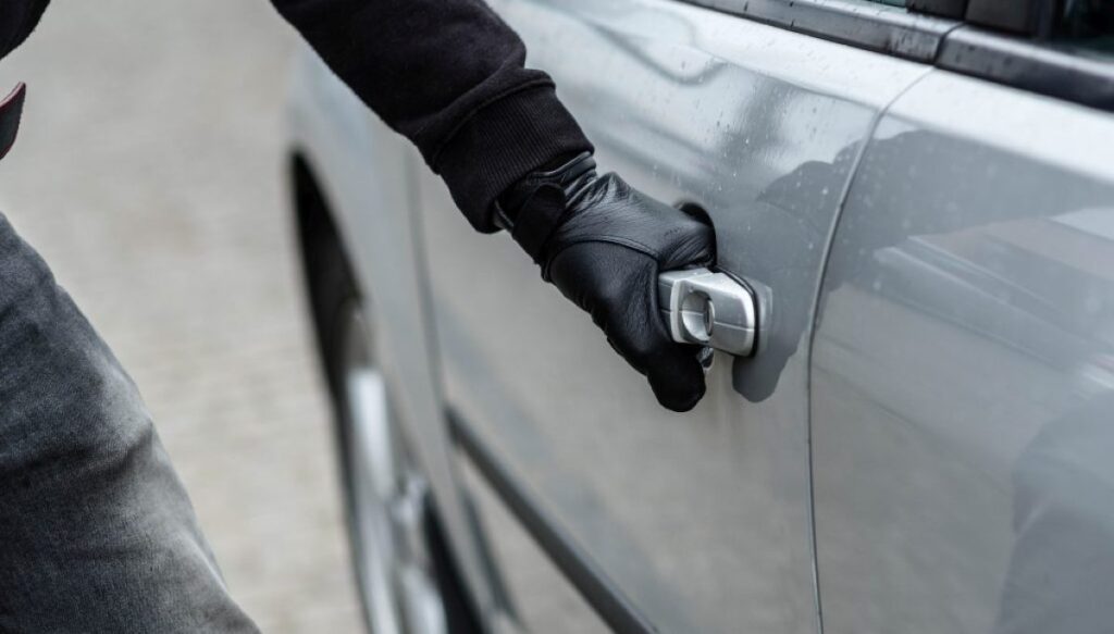 bowser-and-pirro-team-up-for-takedown-of-international-car-theft-ring