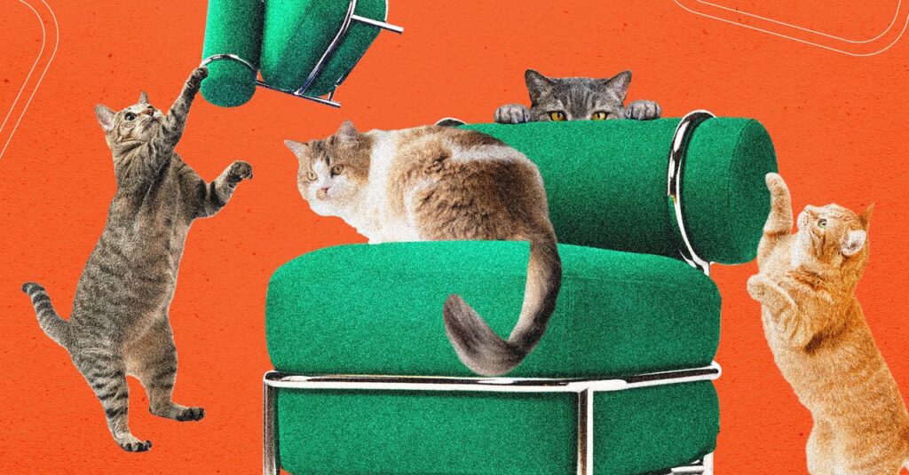 ikea’s-new-blow-up-chair-was-tested-by-cats