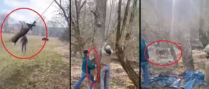 video-shows-men-freeing-deer-found-swinging-on-a-rope-from-its-antlers