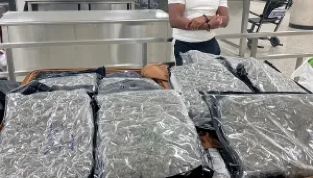 57-pounds-of-marijuana-worth-$220k-found-in-suitcase-at-dulles-airport