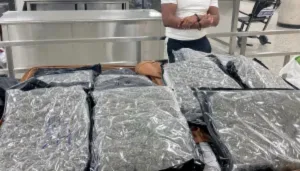 57-pounds-of-marijuana-worth-$220k-found-in-suitcase-at-dulles-airport