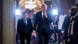 tensions-between-thune-and-johnson-loom-over-immigration-push