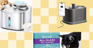 your-cat-probably-isn’t-drinking-enough-water.-these-fountains-can-help