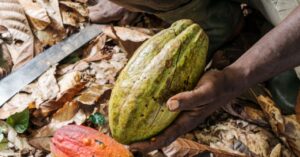 the-world’s-broken-food-system-costs-$12.7-trillion-a-year