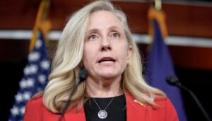virginia-redistricting-ruling-sparks-democratic-finger-pointing