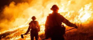 massive-wildfire-scorches-way-through-everglades