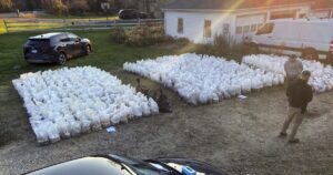connecticut-man-charged-with-running-$8.5-million-mushroom-factory-in-home