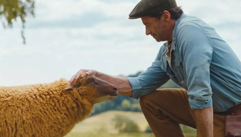 counting-sheep-is-better-than-watching-the-sheep-detectives