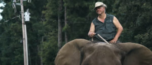 ‘tiger-king’-star-pleads-guilty-to-federal-charges-for-wildlife-trafficking,-money-laundering