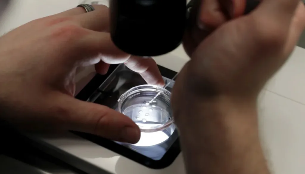 israeli-national-arrested-at-airport-trying-to-smuggle-human-embryos
