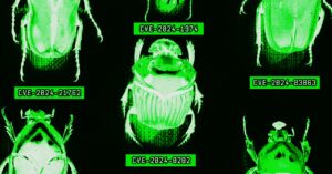 the-ai-era-is-creating-a-bug-hunting-arms-race