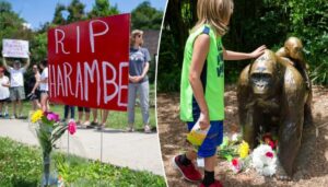 white-house-shares-tribute-to-gorilla-legend-harambe