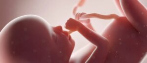 gop-rep.-pulls-name-from-bill-classifying-abortion-as-murder
