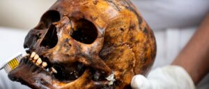 thrifter-finds-human-skull-in-antique-store’s-halloween-section