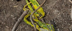 missing-scientist-found-dead-by-hiker-in-national-forest,-police-say