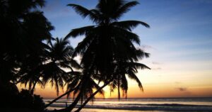 trump-eyes-purchase-of-strategic-islands-in-indian-ocean-*-the-gateway-pundit-*-by-ben-kew