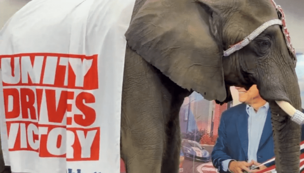 live-elephant-steals-the-show-at-texas-gop-convention