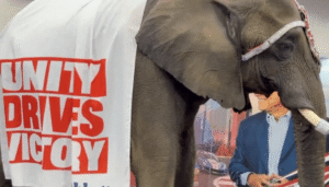 live-elephant-steals-the-show-at-texas-gop-convention