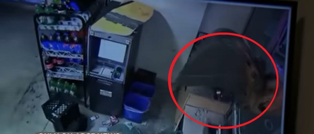 video-shows-suspects-using-excavator-to-smash-store’s-window,-rip-out-atm