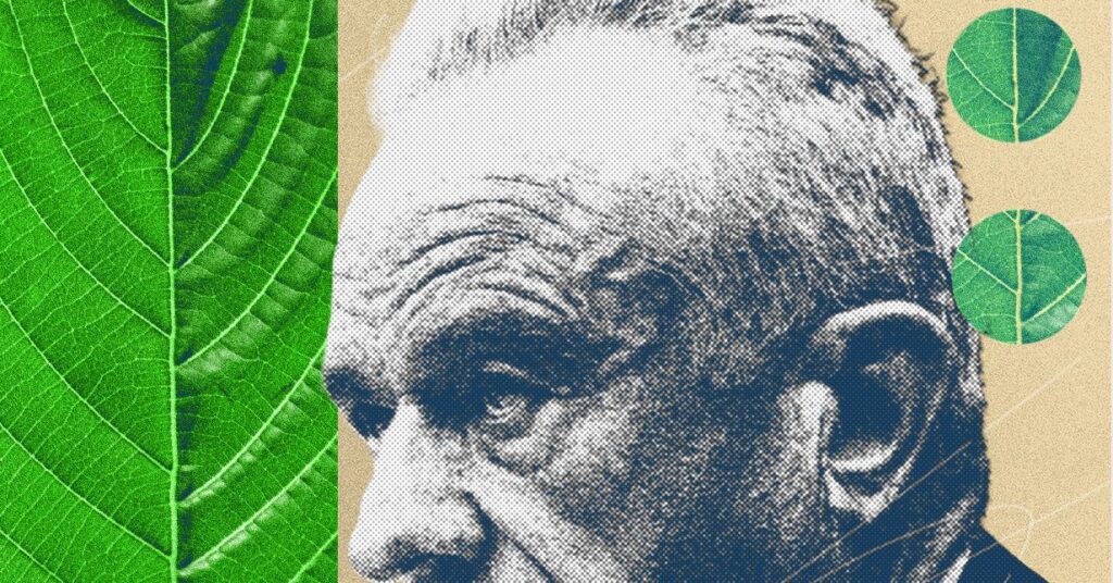 the-kratom-civil-war-is-heating-up,-and-maha-has-picked-a-side