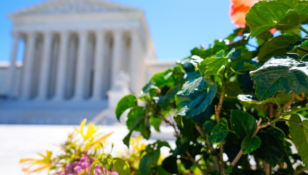 supreme-court-urged-to-block-texas-app-store-age-verification-law