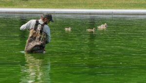 watch-live:-crew-cleans-reflecting-pool-after-algae-turned-water-green