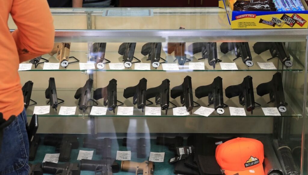nra-sues-michigan-over-license-requirement-to-purchase-guns