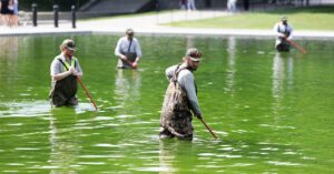 why-the-reflecting-pool-is-full-of-algae-after-trump’s-renovation