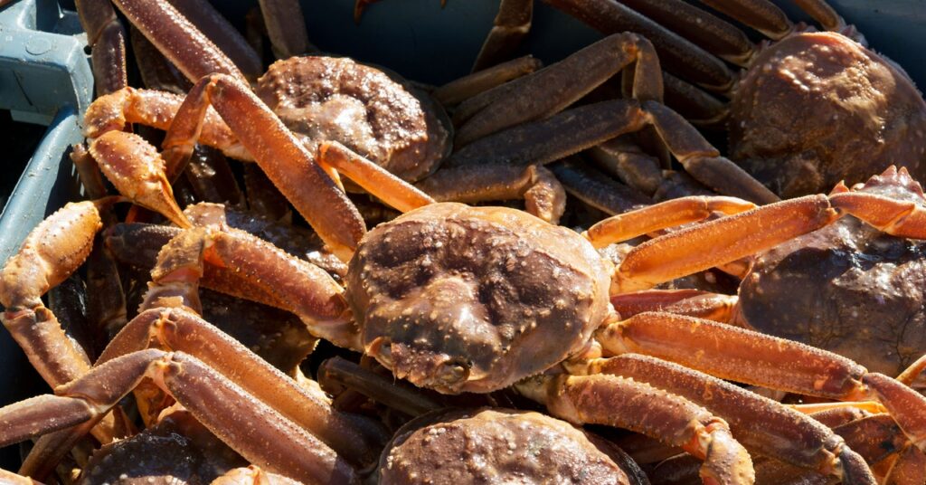 the-surprising-reason-sea-creatures-are-getting-hungrier