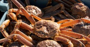 the-surprising-reason-sea-creatures-are-getting-hungrier