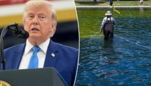 trump-blames-abc-reporter-and-vandals-for-peeling-reflecting-pool-and-algae-growth