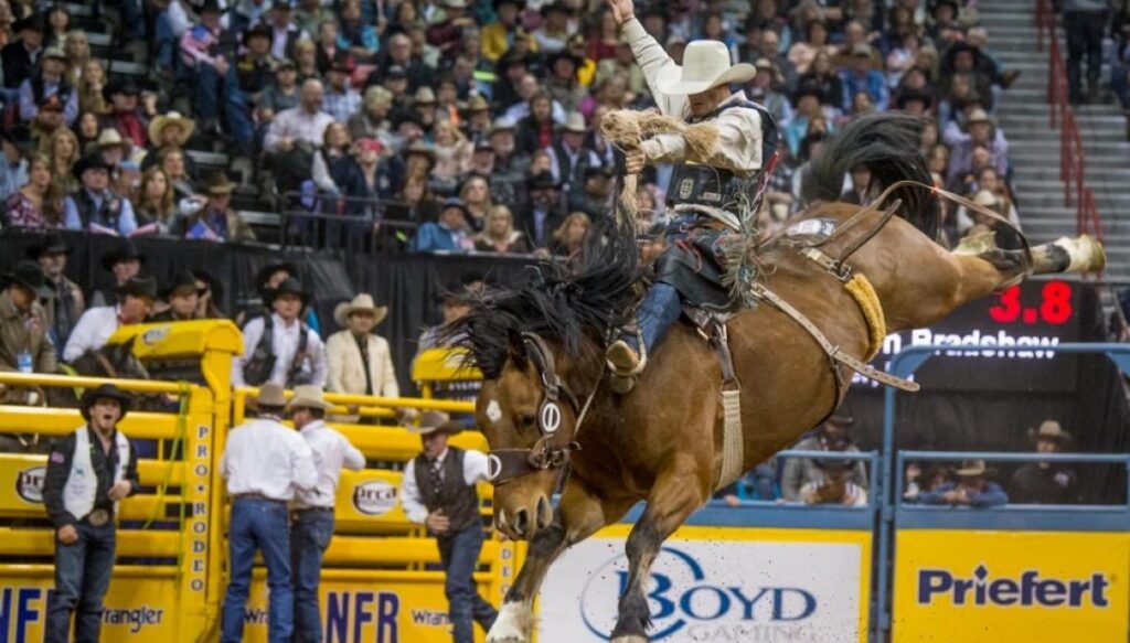 dc-prepares-for-america-250-rodeo-takeover-on-national-mall