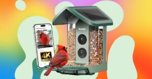 buying-a-smart-bird-feeder-this-prime-day-may-turn-you-into-a-bird-person