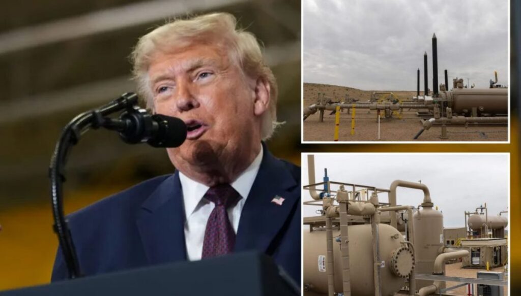 trump-blasts-oil-companies-for-not-lowering-prices-to-consumers,-accuses-them-of-price-gouging
