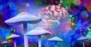 psilocybin-might-make-your-brain-live-in-the-moment