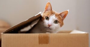 is-it-even-possible-to-understand-quantum-mechanics?