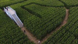 indiana-corn-maze-addresses-backlash-over-charlie-kirk-design