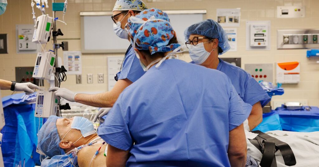 a-transplanted-pig-kidney-is-still-working-after-a-record-setting-9-months-in-a-patient