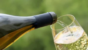 french-champagne-output-evaporates-by-half-in-scorching-heat-wave