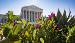 doj-asks-supreme-court-to-unblock-save-database