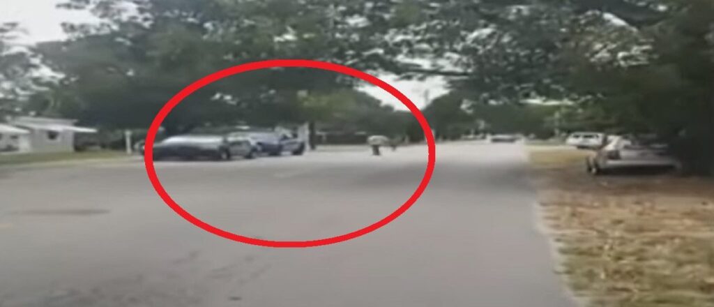 video-shows-suspects-attempting-to-lure-9-year-old-girl-into-van