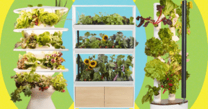 which-indoor-gardening-system-is-worth-the-price?-i-tried-them-all