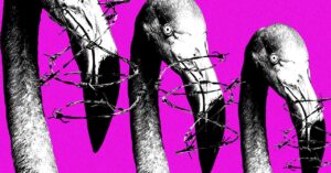 meta’s-copyright-system-is-being-weaponized-against-albanian-protesters