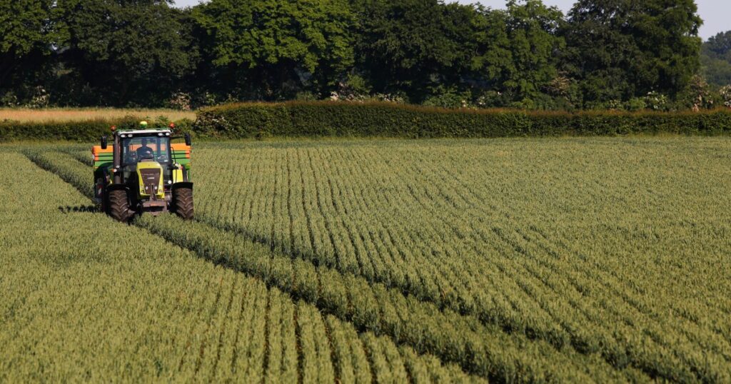 veterans-grow-farms-with-state-grants